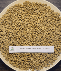 Arabica Coffee Bean