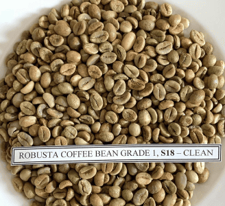 Robusta Coffee Bean