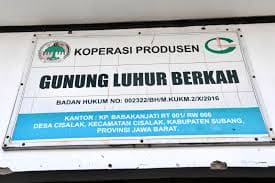 Koperasi Gunung Luhur Berkah, Melejitkan Nama Kopi Subang